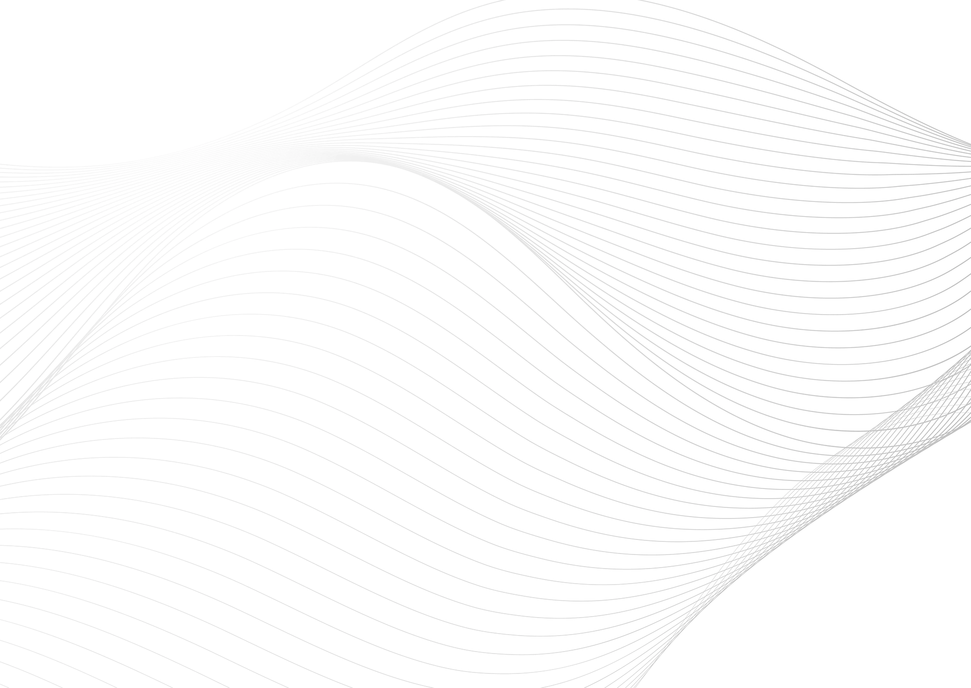 Web Site Tasarımcısı, Midyat